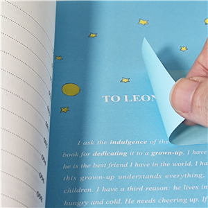 Assorted Color Tape Flags 