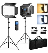 D50 Photography Lighting with Barn Door, 2-Pack 15.4