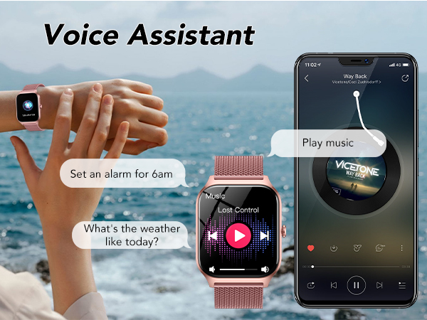 Voice Assistant