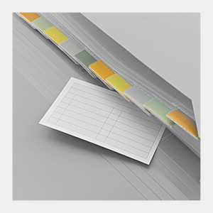 Accordian File Organizer 13 Pocket Expanding File