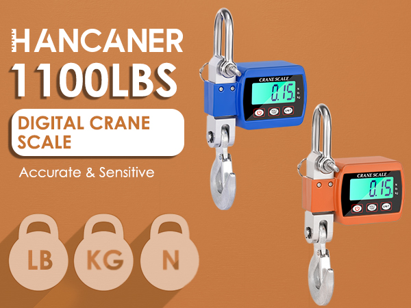 hanging scale 500KG