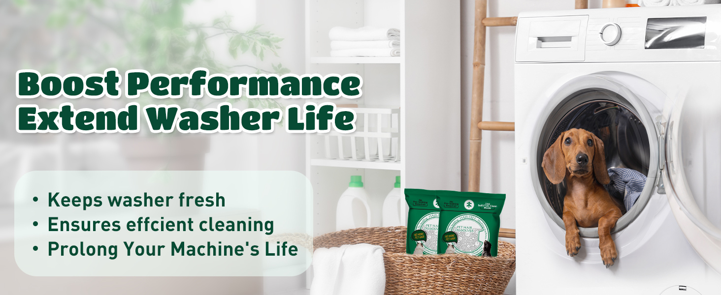 Washing Machine Cleaner