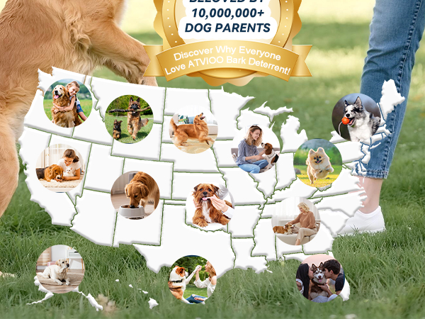 Dog Bark Deterrent Device