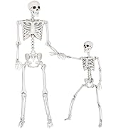 SpringFlower 5.4Ft &amp; 3Ft Halloween Skeleton,Full Body Posable Skeletons Human Plastic Bones with ...