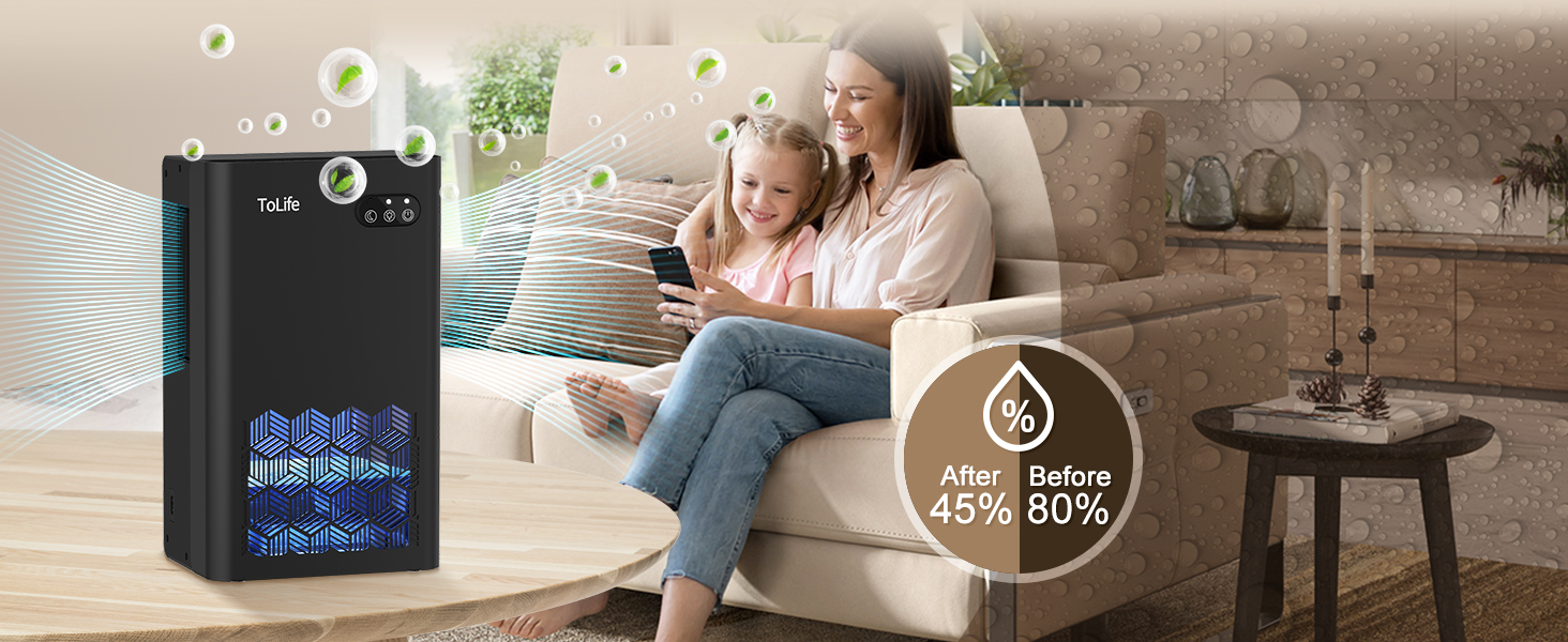 dehumidifiers for home