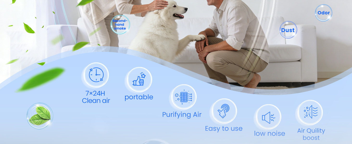 Air Ionizers for Home