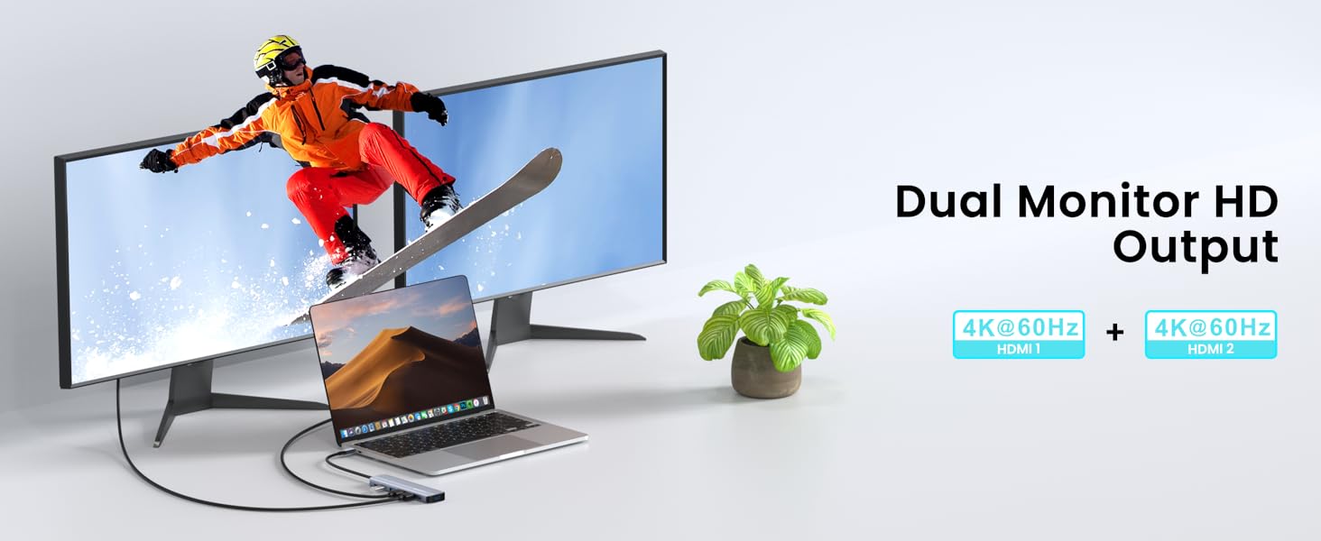 dual monitor HD output