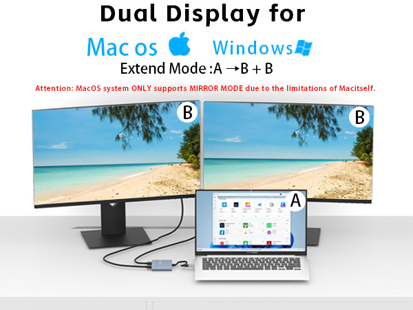 USB C to Dual HDMI Adapter