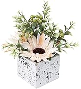 Jusdreen Artificial Flower Potted Plant,Artificial Flower Peony and Small Ceramic Vase Fake Plant...