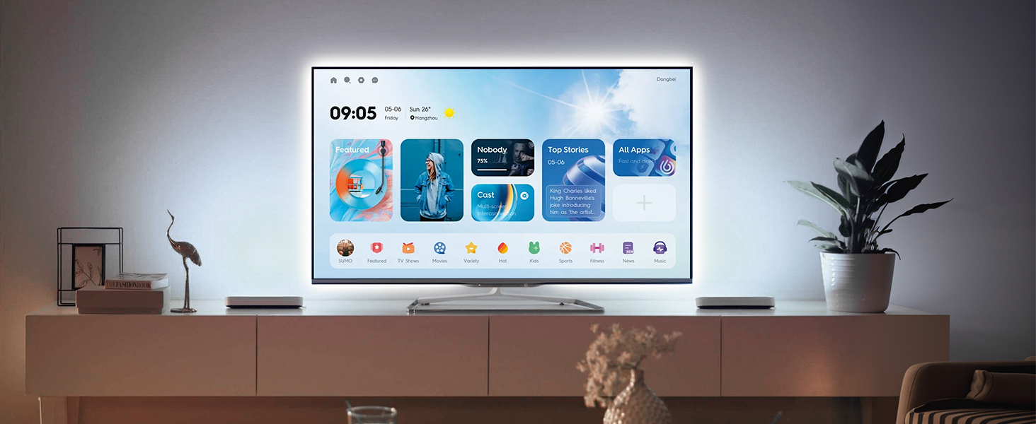 LED Strip Lights for TV