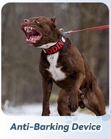 anti barking device for dogs