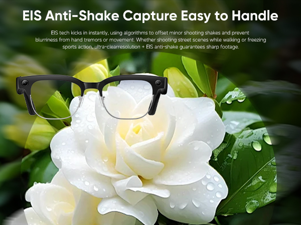 ai glasses meta