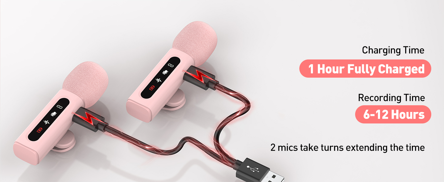 phone microphone