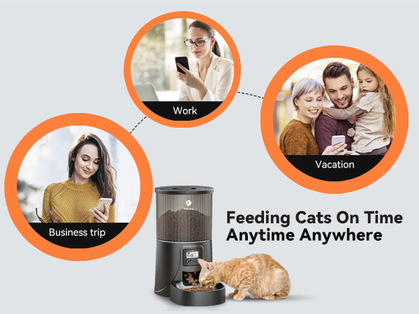 cat automatic feeder