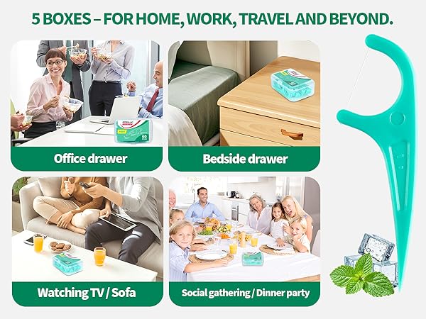 Toothpicks with 5 Travel Cases for Extra Convenience