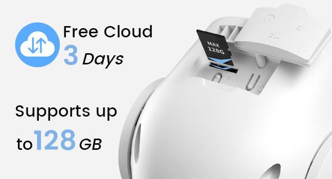 Cloud &amp; Local SD