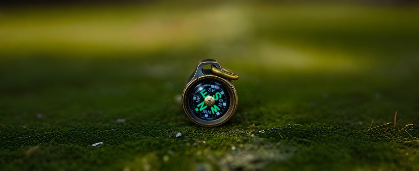 mini compass