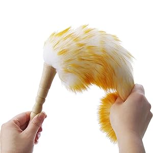 aplus content image