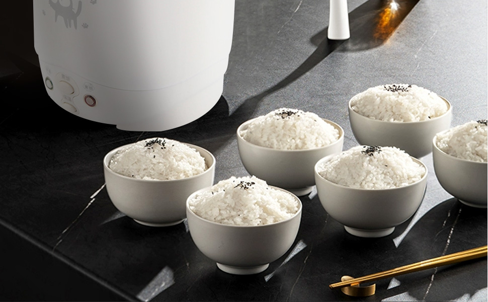 Electric Rice Cooker 