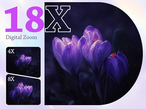 18X Digital Zoom