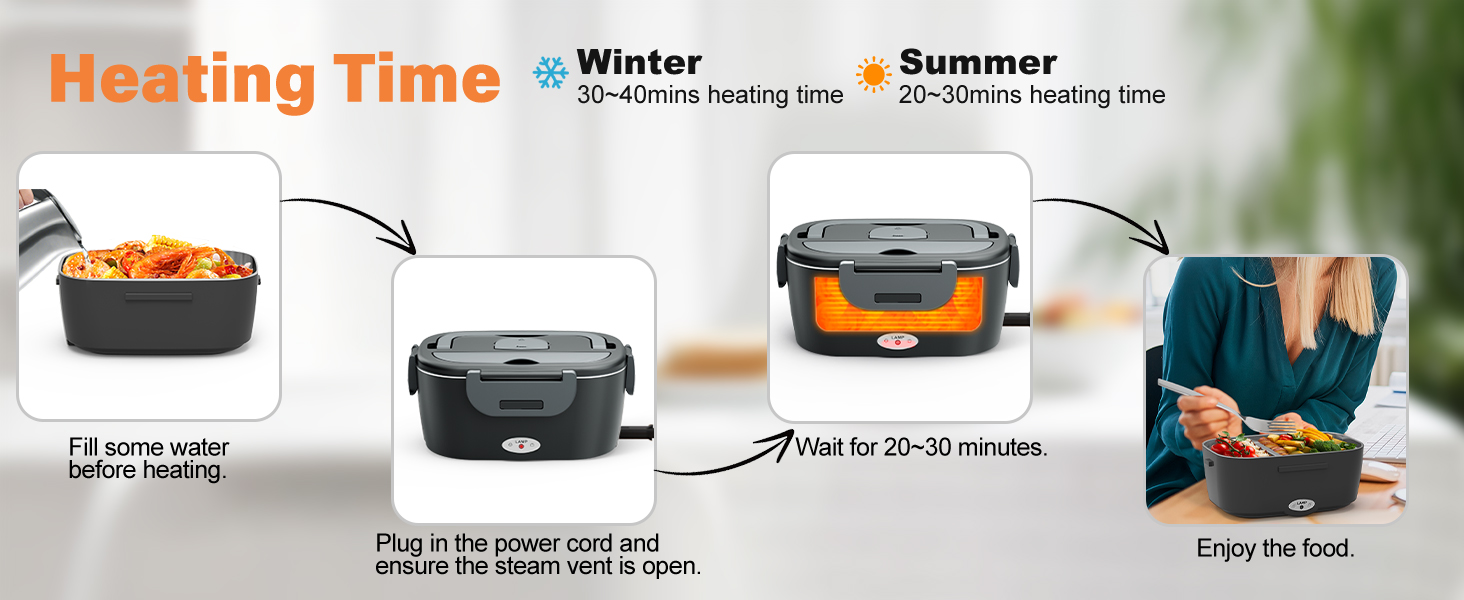 electric lunch box