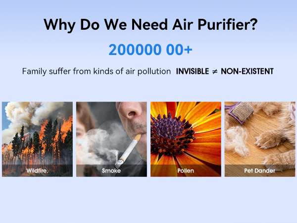 P60 Air Purifiers