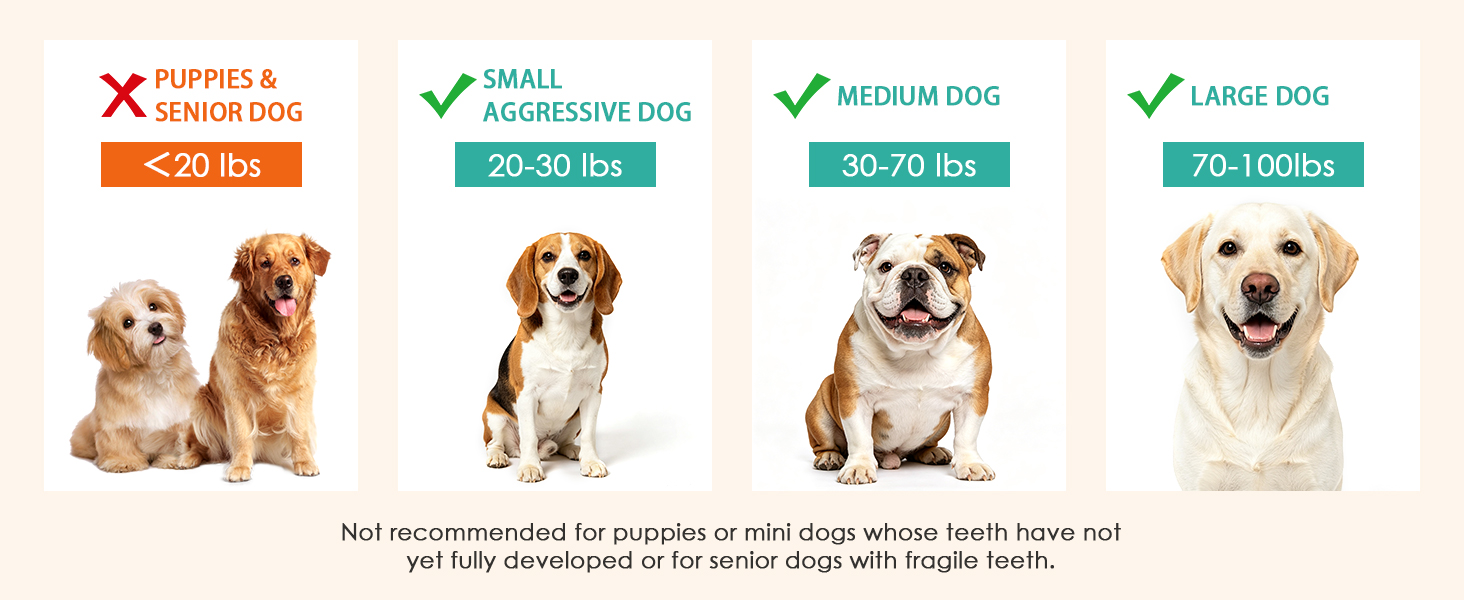 dog toys for medium large dogs