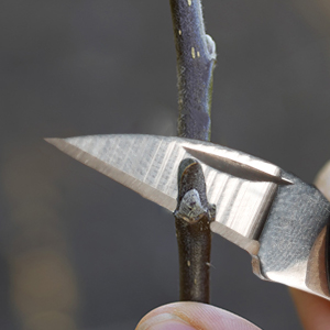 knife tool