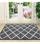 Finchitty Indoor Door Mat, Non-Slip Absorbent Resist Dirt Entrance Rug, Durable Machine Washable ...