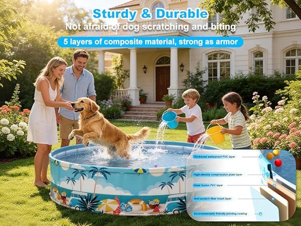 kiddie pool for dogs