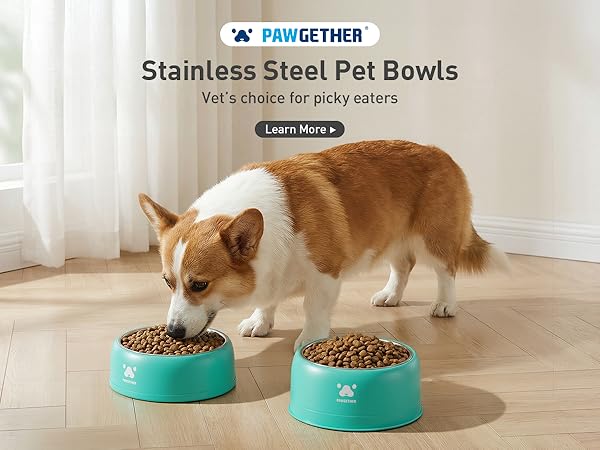 dog water bowl