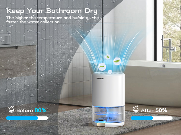 dehumidifiers for home