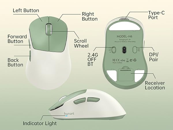 H6 Mouse