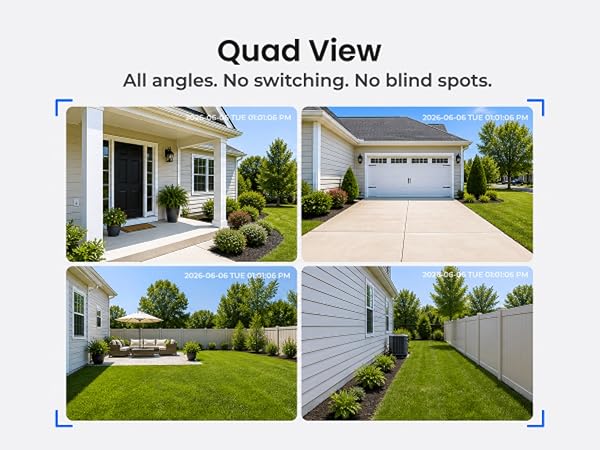 Quad View