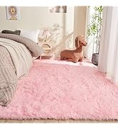 OPPODREAM 4x6 Pink Rugs for Bedroom, Ultra-Soft Fluffy Area Rugs for Living Room, 4 x 6 Shag Carp...
