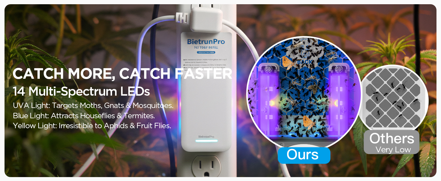 fly killer gnat killer plug in best safe electric flying insect trap fruit fly bug blue UV light