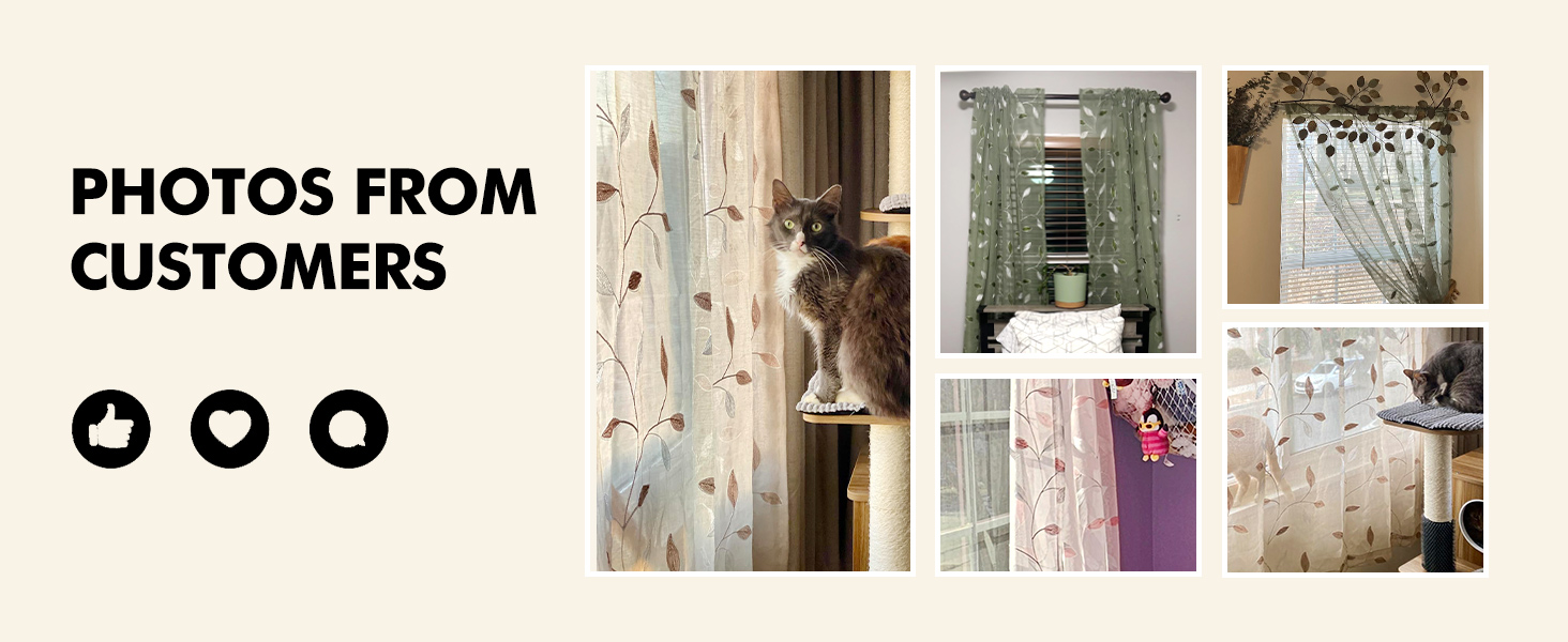 Curtains