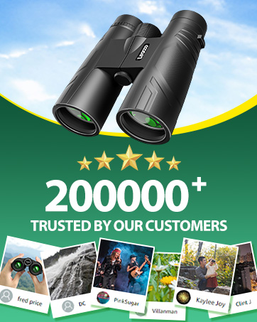 Sales volume: 200,000+