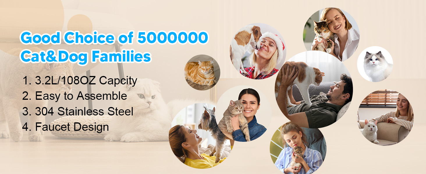 cat fountains for drinking