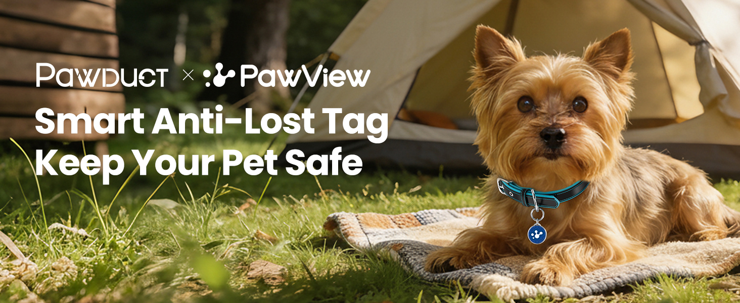 dog id tag