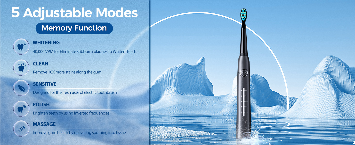 Sonic Electric Toothbrush