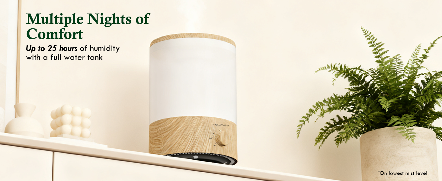 humidifier