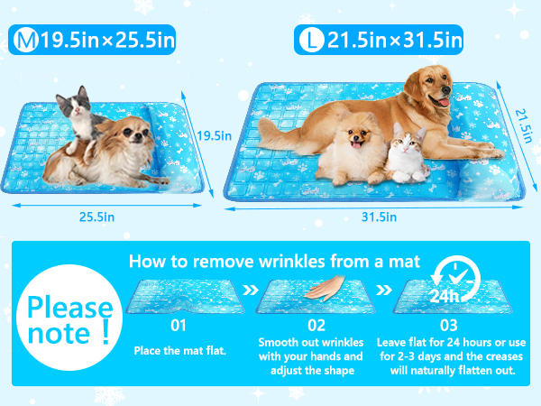 cool bed dogs