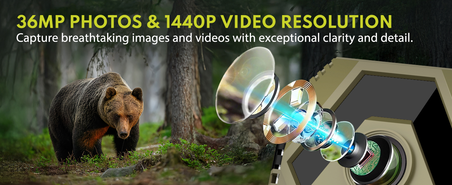 wildlife cameras with night vision motion activated waterproof