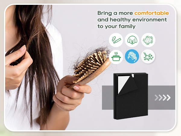 Bring a more comfortable and healthy environment to your family