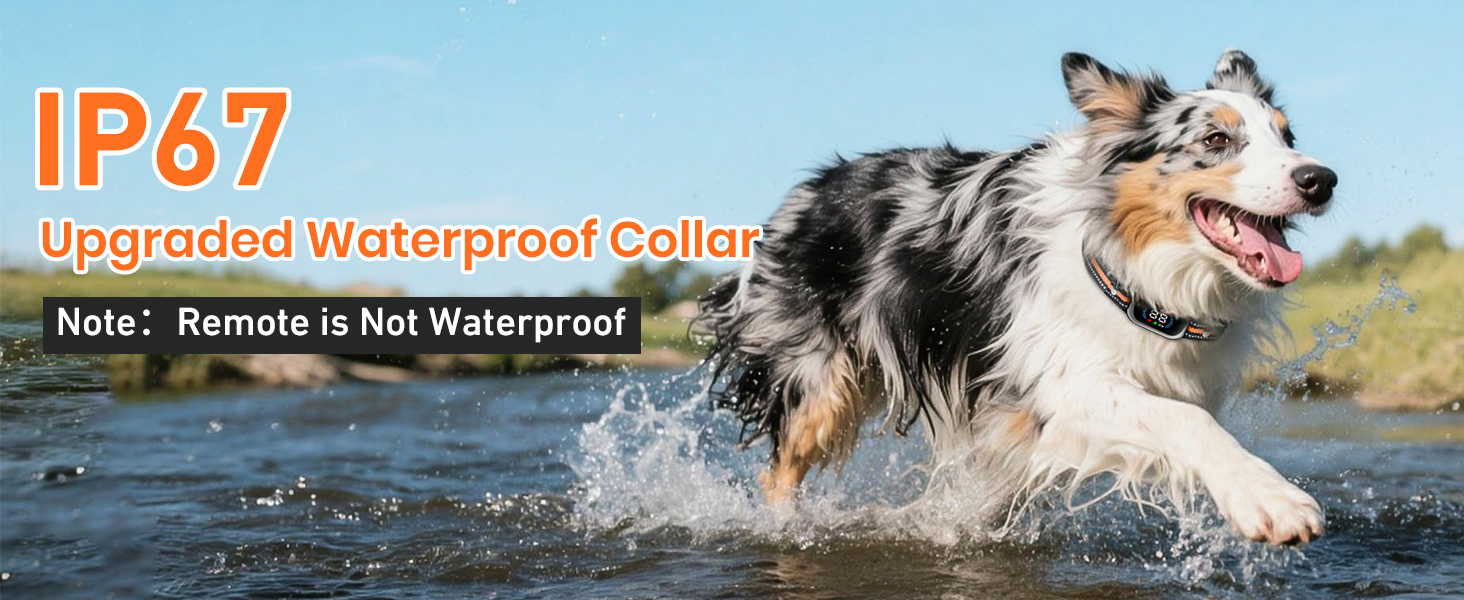 dog e collar for training remote shock collar for dogs dog correction collar large dog bark collar