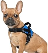 rabbitgoo Dog Harness for Small, Easy On Pet Vest with One Buckle, No Pull Adjustable Service Har...