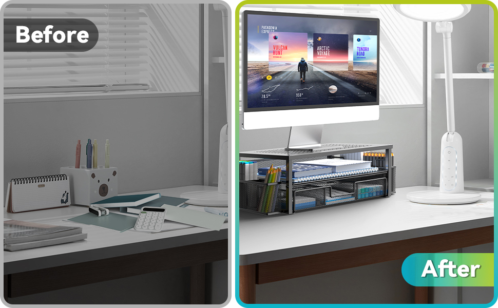 Computer Monitor