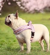Didog No Pull Dog Harness with Soft Padded, Easy Walk Dog Harness with Quick Release Buckle, Adju...