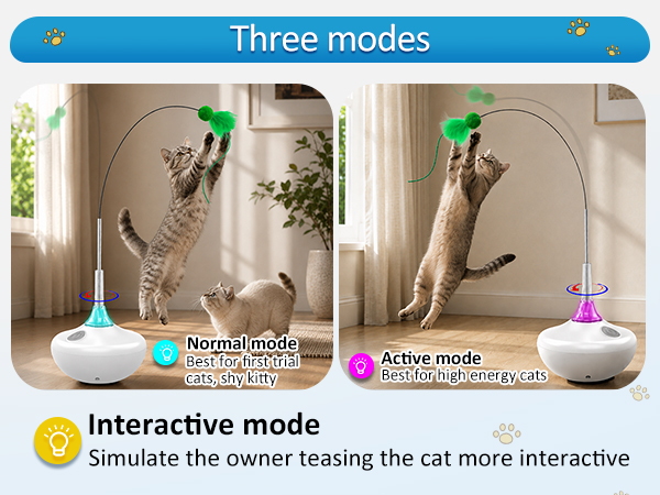 automatic cat toy